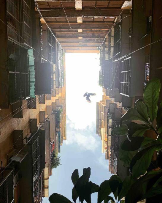 Saigonese Lifestyle - Near Ben Thanh Market مدينة هوشي منه المظهر الخارجي الصورة